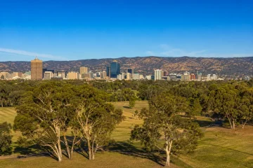 Adelaides skyline sedd över parkbältet med eukalyptusträd i förgrunden