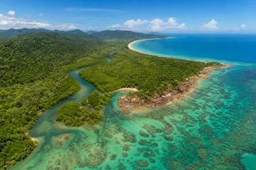 Regnskogen möter korallhavet norr om Cairns
