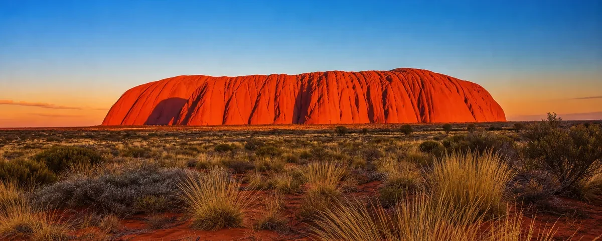 Uluru i solnedgång sedd över öknens spinifexgräs