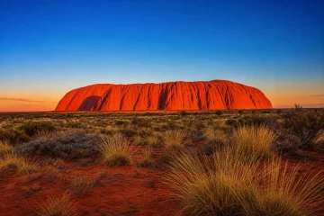 Uluru i solnedgång sedd över öknens spinifexgräs